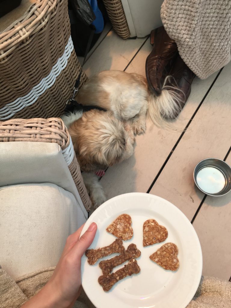 Dog-Friendly Restaurants in Malta: Dog treats