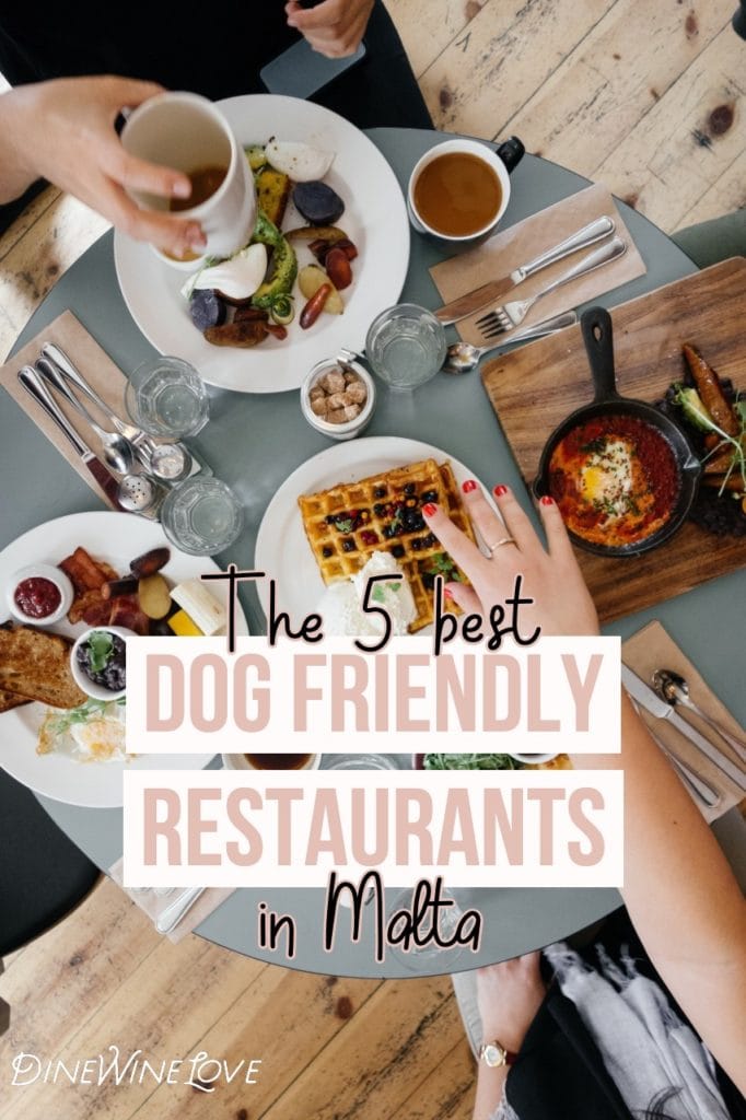 The 5 Best Dog Friendly Restaurants in Malta