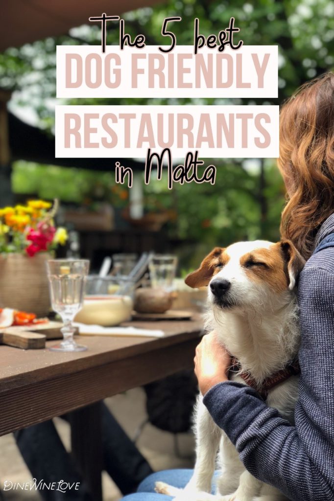 The 5 Best Dog Friendly Restaurants in Malta