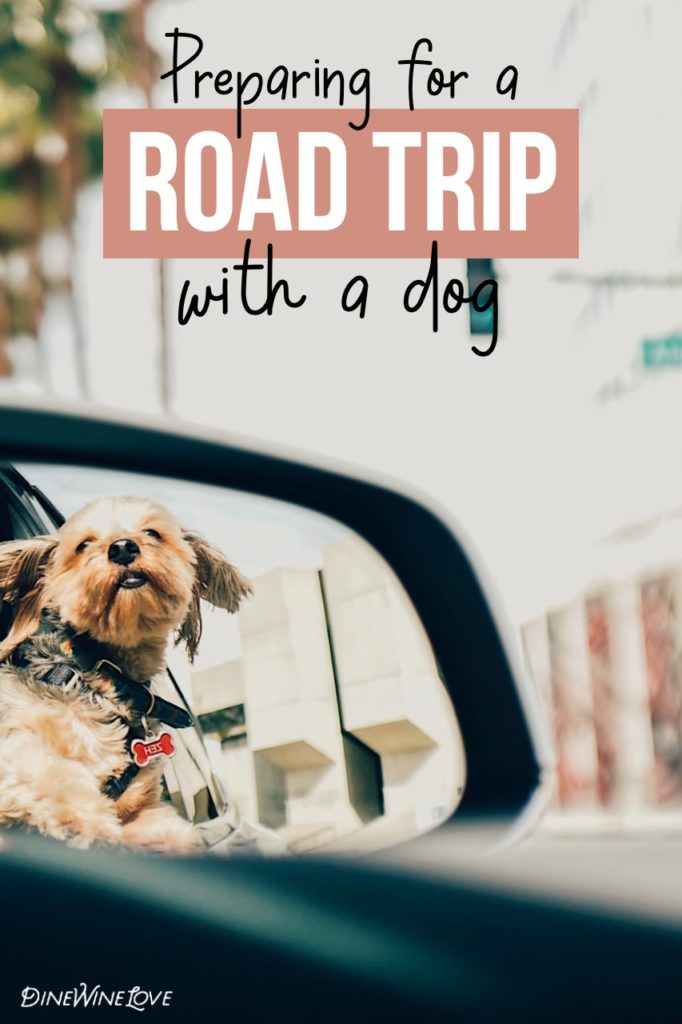 preparing for a road trip with a dog