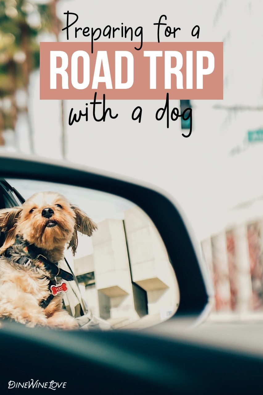 Road Trip with a Dog | How to Prepare | DineWineLove 🐕