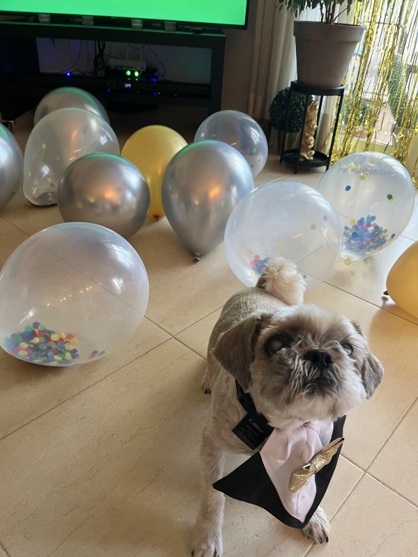 Eurovision party decor and outfit